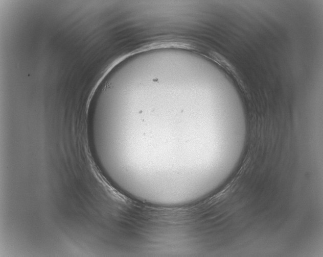 X0000061740836200512161647