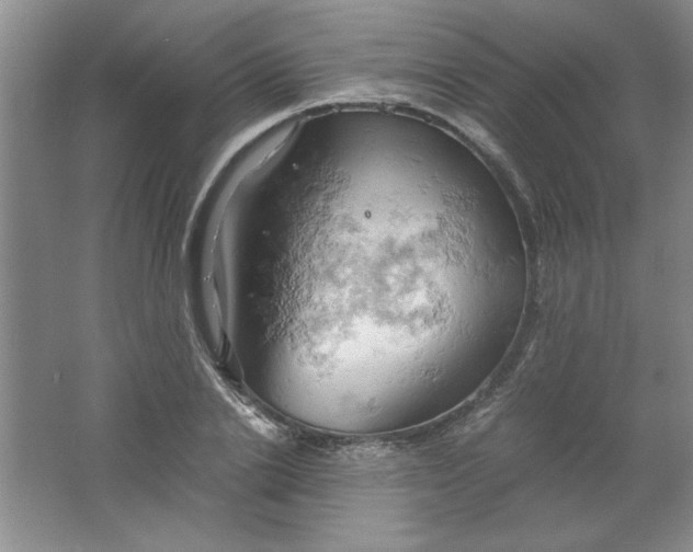 X0000061740838200512161647