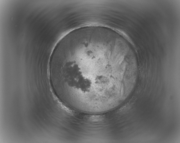 X0000061740839200512161647