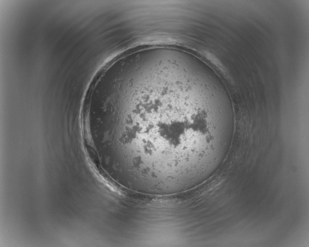 X0000061740840200512161647