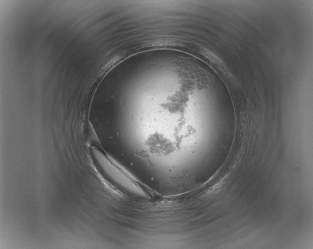 X0000061740841200512161647