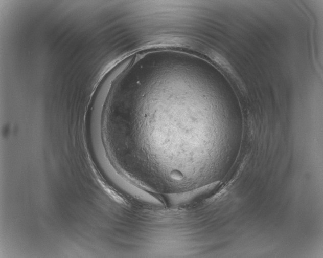 X0000061740842200512161647