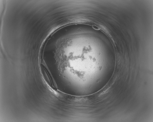 X0000061740843200512161647