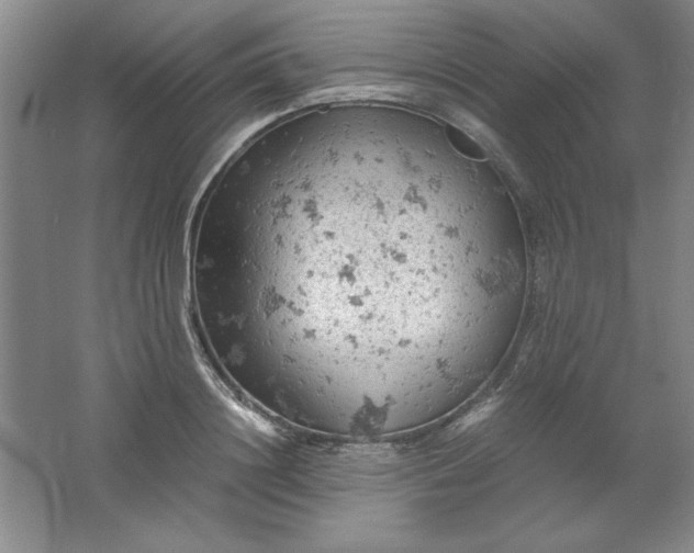 X0000061740844200512161647