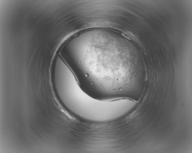 X0000061740846200512161647