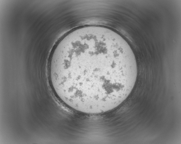 X0000061740848200512161648