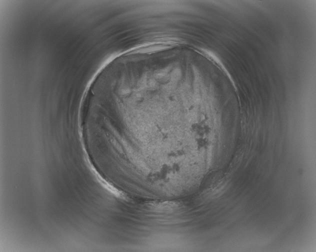 X0000061740851200512161648