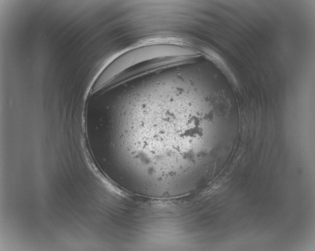 X0000061740852200512161648