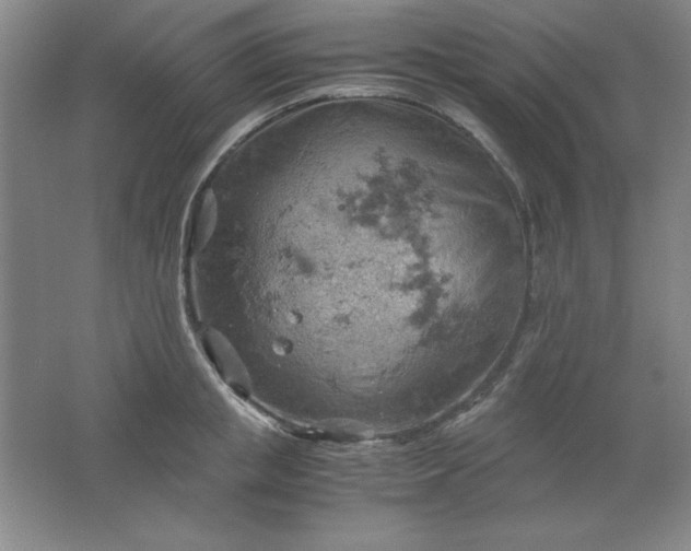 X0000061740853200512161648