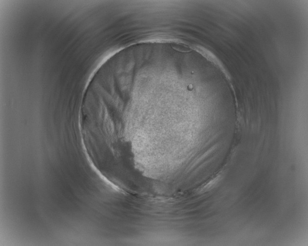 X0000061740855200512161648