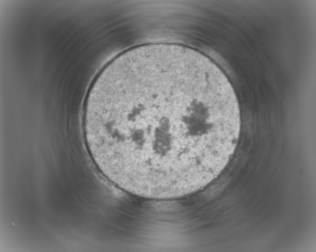 X0000061740856200512161648