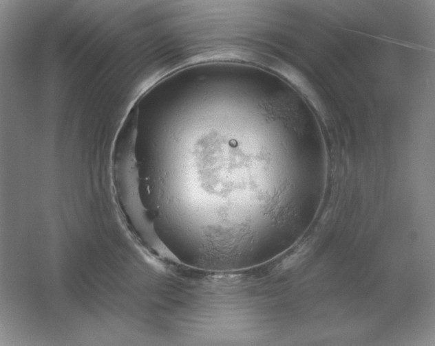 X0000061740858200512161648