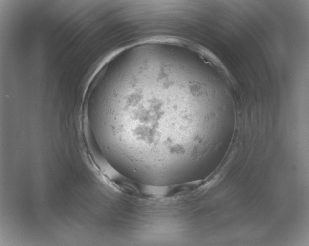 X0000061740860200512161648