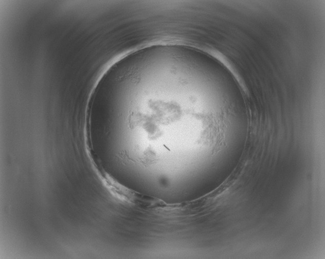 X0000061740861200512161648