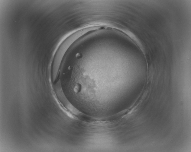 X0000061740862200512161648