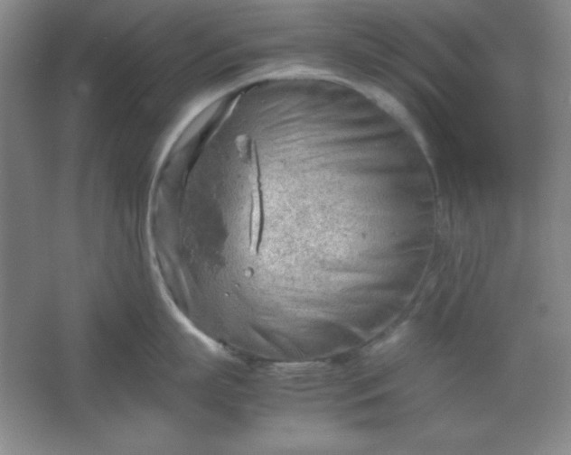 X0000061740863200512161648