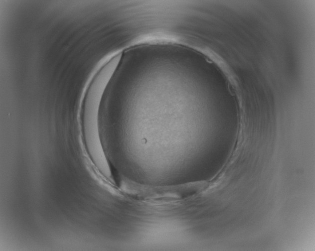 X0000061740864200512161648