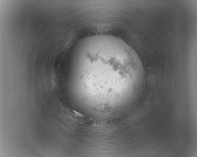 X0000061740866200512161647