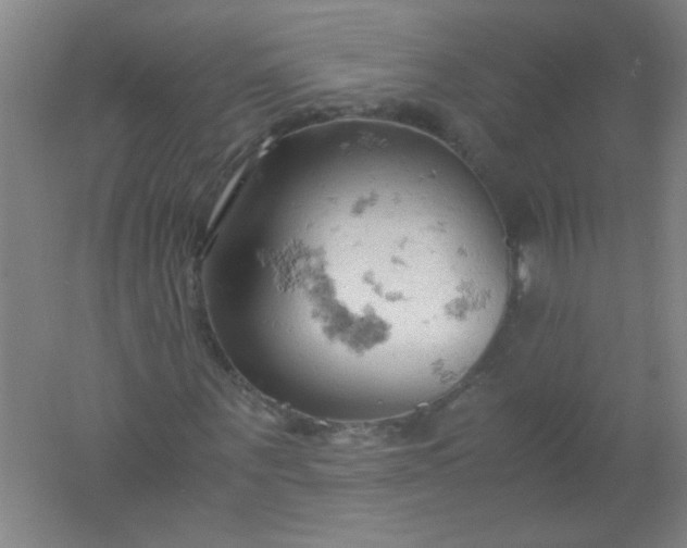 X0000061740867200512161647