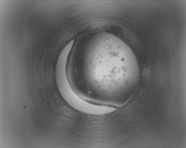 X0000061740868200512161647