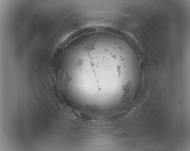 X0000061740871200512161647