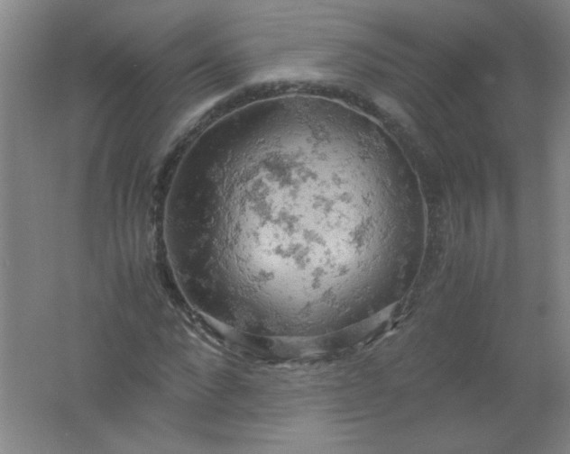 X0000061740872200512161647