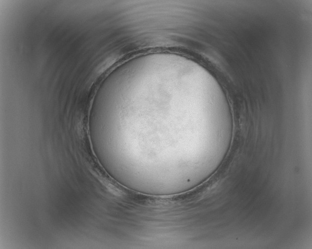 X0000061740873200512161647