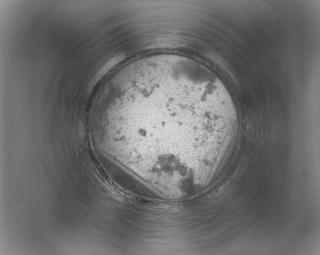 X0000061740874200512161647