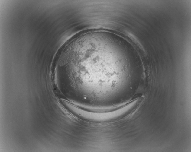 X0000061740876200512161647