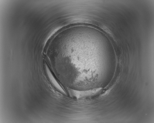 X0000061740877200512161647