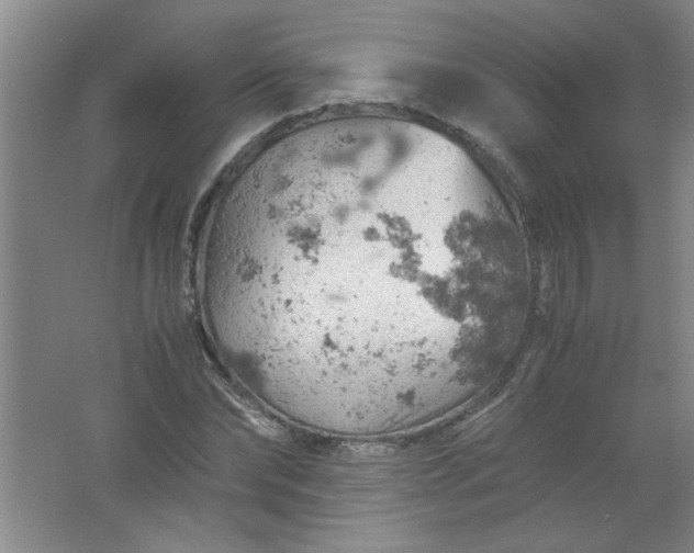 X0000061740878200512161647