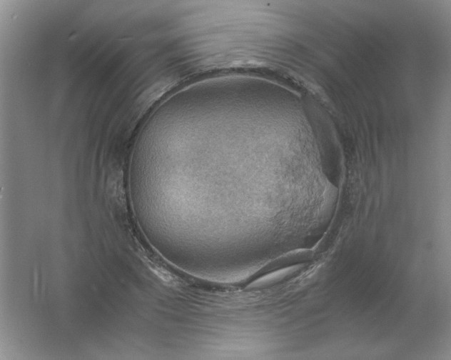 X0000061740881200512161647