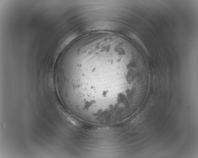 X0000061740882200512161647