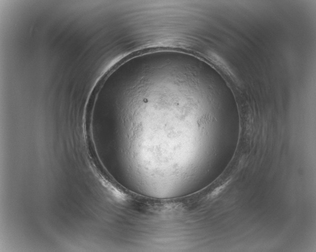 X0000061740884200512161647