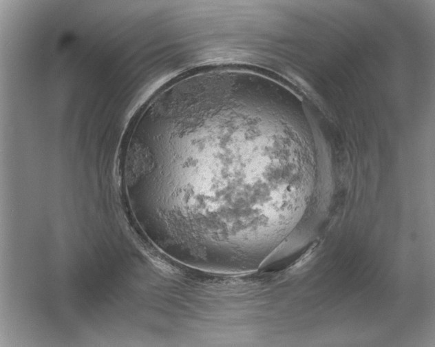 X0000061740885200512161647