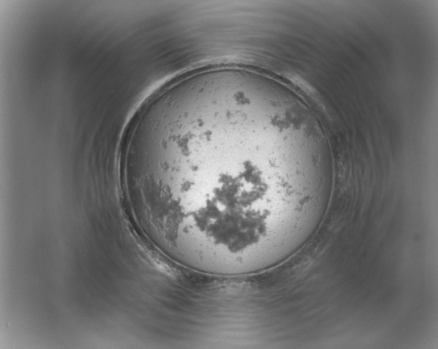 X0000061740886200512161647