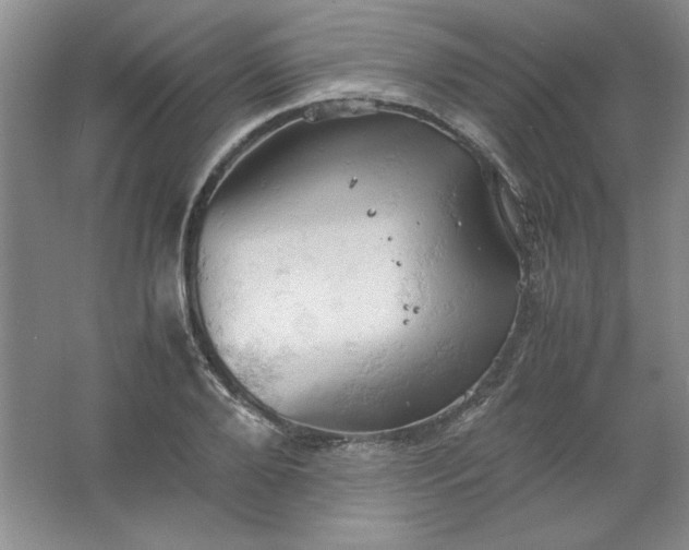 X0000061740888200512161647