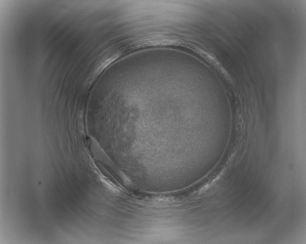 X0000061740889200512161647