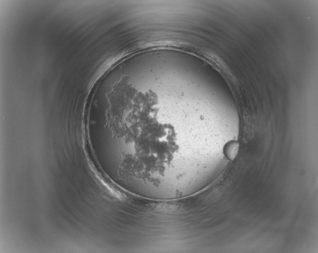 X0000061740890200512161647