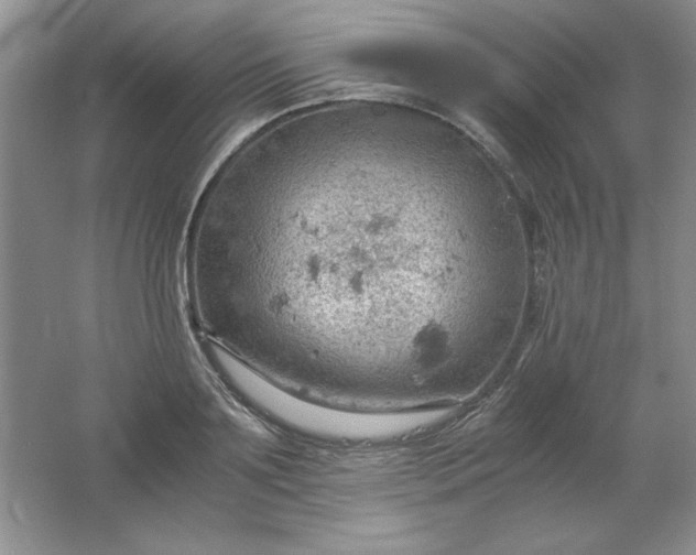 X0000061740891200512161647