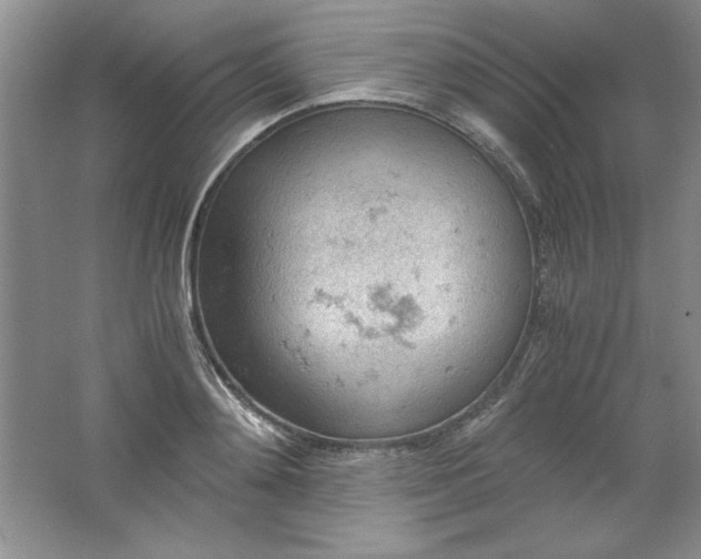 X0000061740892200512161647