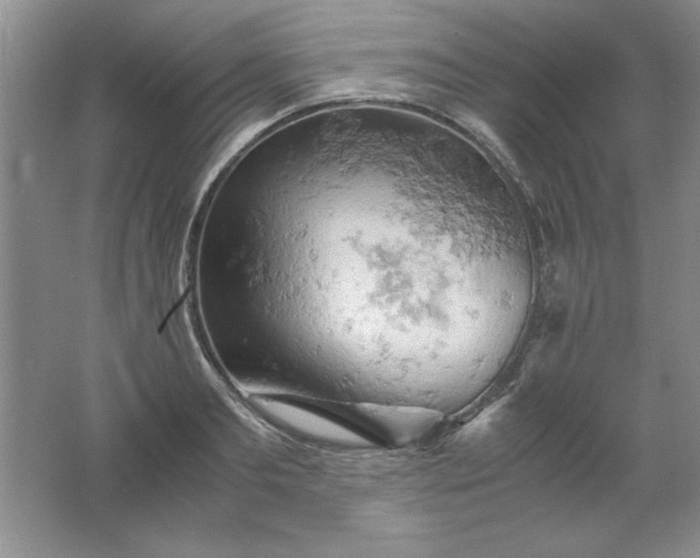 X0000061740893200512161646