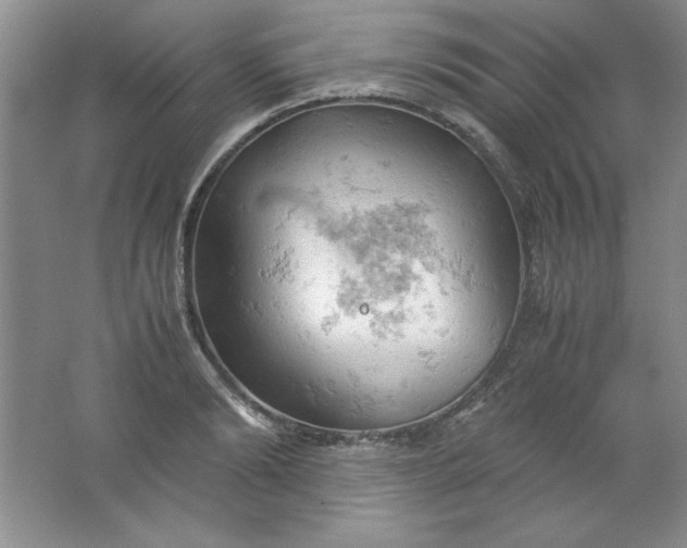 X0000061740894200512161646