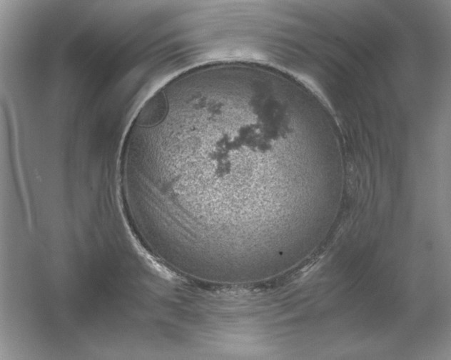 X0000061740895200512161646