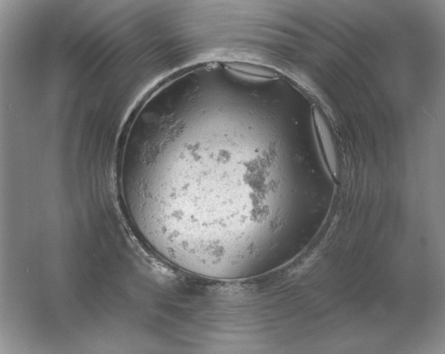 X0000061740896200512161646