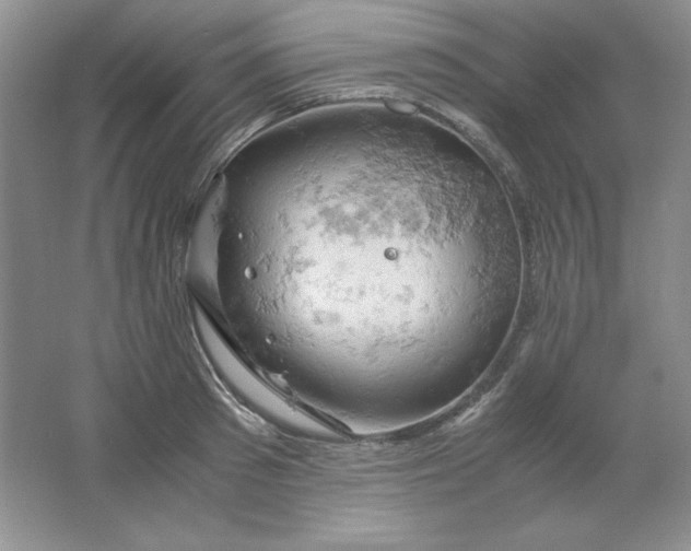 X0000061740897200512161646