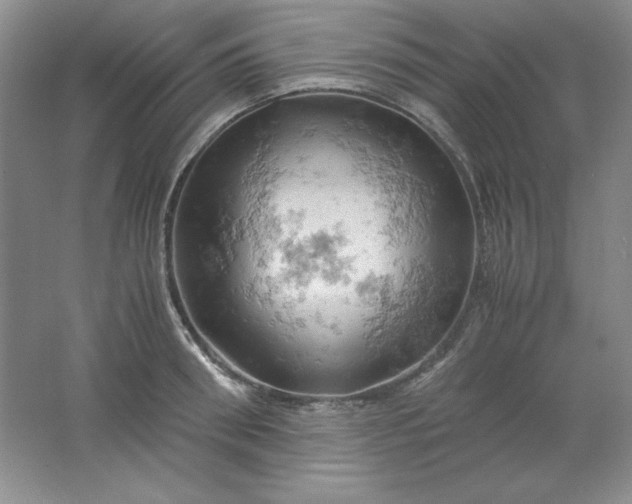 X0000061740898200512161646