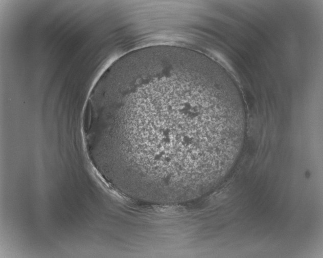 X0000061740899200512161646