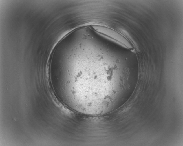 X0000061740900200512161646