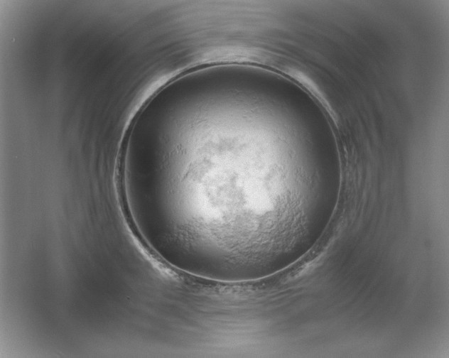 X0000061740901200512161646